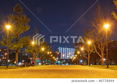 Katsuyama Park [福岡縣北九州市]在晚上 46778844