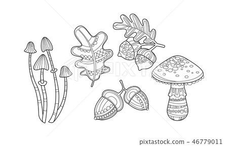 Collection of hand drawn plants, monochrome leaves, mushrooms, hazelnuts and acorns vector 46779011