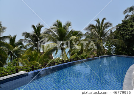 The pool 46779956