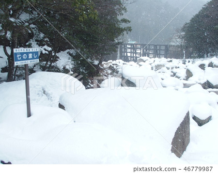 冬天的地方 46779987