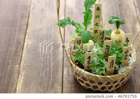 七種春天的草藥 46781750