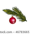 Fir tree branch with toy  46783665