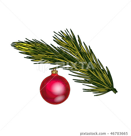 Fir tree branch with toy  46783665