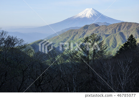 來自大磯的富士山 來自大磯的富士山 46785077