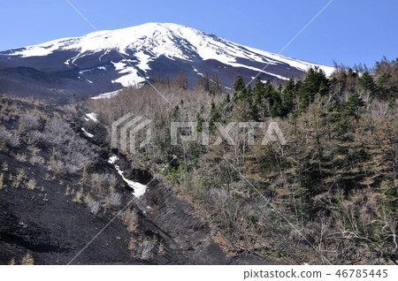 Japan's top 100 Mt. Fuji Japan's top 100 Mt. Fuji 46785445