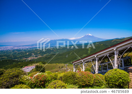 (Shizuoka Prefecture) A view of Mt. Fuji in early summer Japan (Shizuoka Prefecture) A view of Mt. Fuji in early summer Japan 46785689