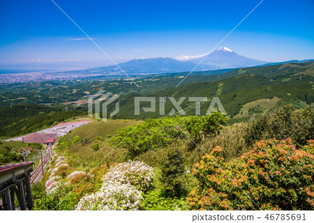 (靜岡縣)初夏日本富士山的景色 (靜岡縣)初夏日本富士山的景色 46785691