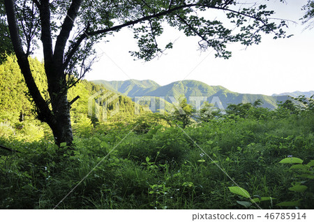 早上奧多摩山區 46785914