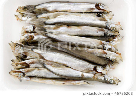 Shibata Shimomaru dried (male) Shibata Shimomaru dried (male) 46786208