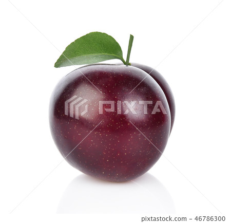 red cherry plum  isolated on white background 46786300
