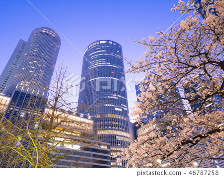 Nagoya city scenery Nagoya station square rotary and night cherry blossoms Nagoya city scenery Nagoya station square rotary and night cherry blossoms 46787258