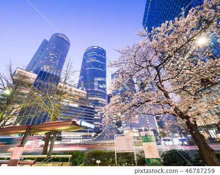 Nagoya city scenery Nagoya station square rotary and night cherry blossoms 46787259