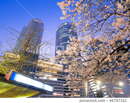 名古屋市風景名古屋車站廣場旋轉和夜櫻花 名古屋市風景名古屋車站廣場旋轉和夜櫻花 46787262