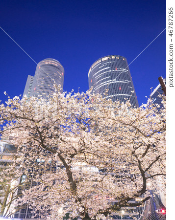 Nagoya city scenery JR Central Towers and night cherry blossoms 46787266