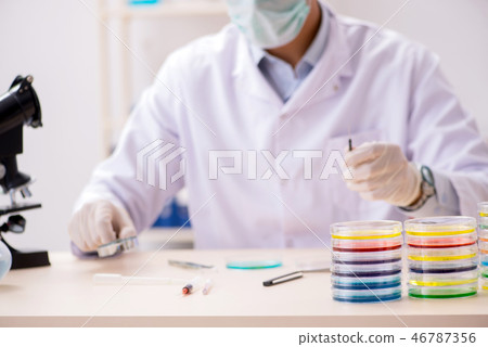 Young chemist working in the lab  46787356