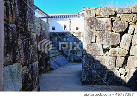Tsuyama Castle ruins Tsuyama Castle ruins 46787397