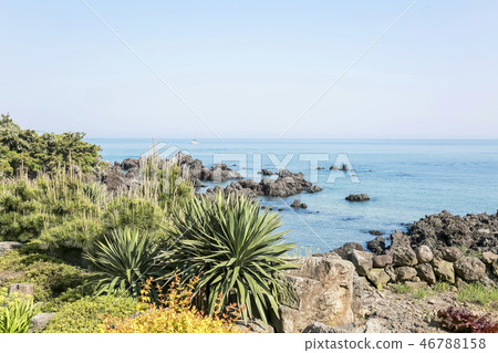 Ole 8課程 46788158