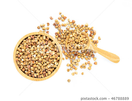 Job's tears whole unpolished grains 46788889