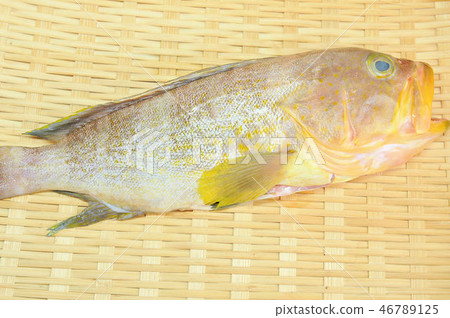 黃色標誌 黃色標誌 46789125