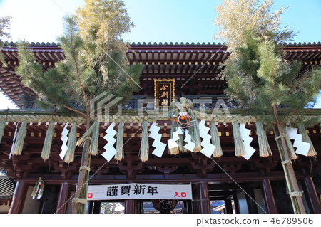 Kawasaki Daishi of the New Year 46789506