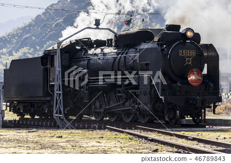steam locomotive  46789843