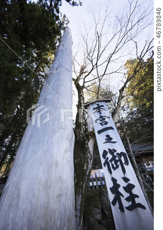 你的支柱 你的支柱 46789846