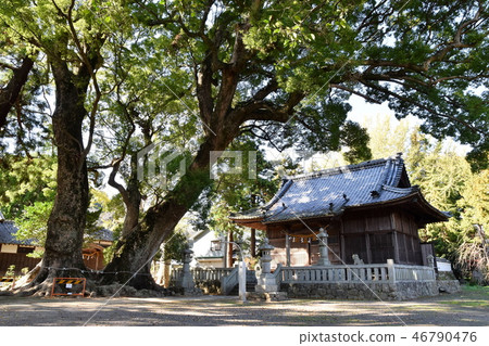 Akasaka Ryokan Sugimori Hachimansha Akasaka Ryokan Sugimori Hachimansha 46790476