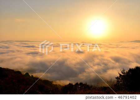 Mt. Mt. 46791402