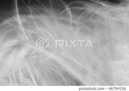 bird hair in macro view bird hair in macro view 46794536