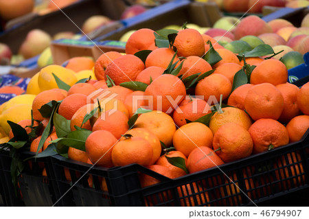 At the Doratsu fruit and vegetable market At the Doratsu fruit and vegetable market 46794907