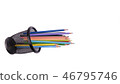 Colored pencils in a pencil case on white background 46795746