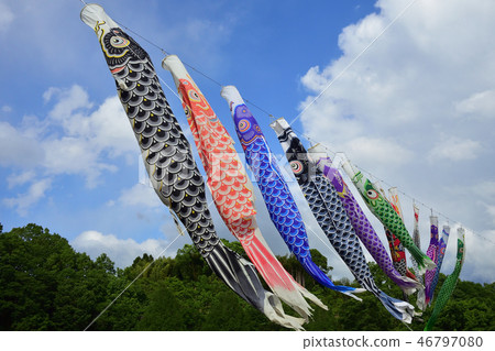 A carp stream that shines in the blue sky A carp stream that shines in the blue sky 46797080