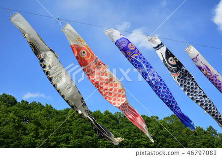 A carp stream that shines in the blue sky A carp stream that shines in the blue sky 46797081