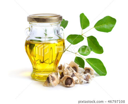 Moringa oleifera oil with seeds and leawes.  46797108