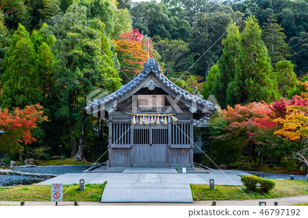 日本九州景色Japan Kyushu Dazaifu Landscape 46797192