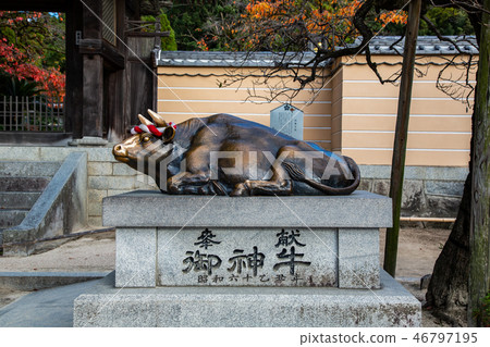 Japan Kyushu View Japan Kyushu Dazaifu Landscape 46797195