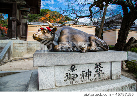 日本九州景色Japan Kyushu Dazaifu Landscape 46797196