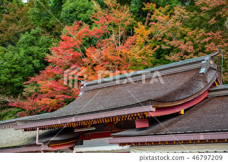 日本九州景色Japan Kyushu Dazaifu Landscape 46797209