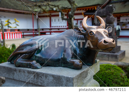 日本九州景色Japan Kyushu Dazaifu Landscape 46797211