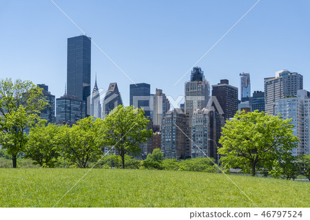 Park and skyline of Midtown Manhattan in New York City 46797524