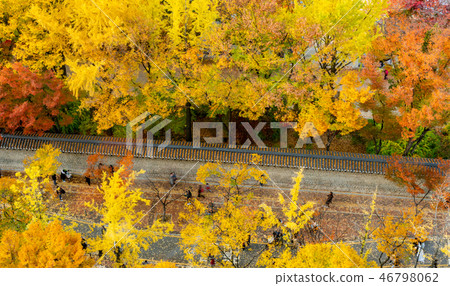 Deoksugung Palace in Seoul Deoksugung Palace in Seoul 46798062