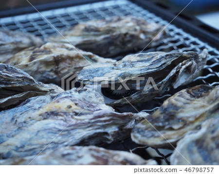Oyster Oyster 46798757