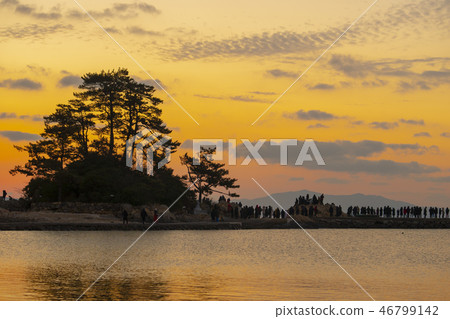 Slow Island, Jangheung County, Jeonnam Slow Island, Jangheung County, Jeonnam 46799142