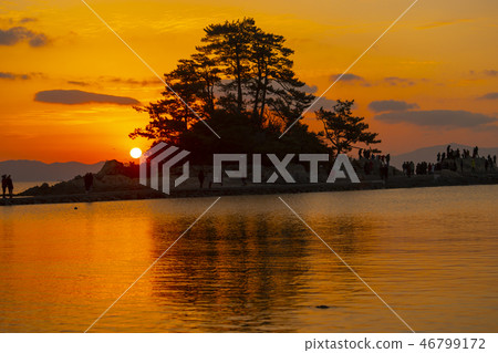 Slow Island, Jangheung County, Jeonnam Slow Island, Jangheung County, Jeonnam 46799172
