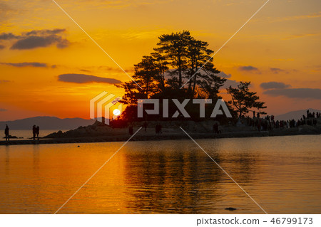 Slow Island, Jangheung County, Jeonnam Slow Island, Jangheung County, Jeonnam 46799173