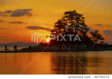 Slow Island, Jangheung County, Jeonnam Slow Island, Jangheung County, Jeonnam 46799174