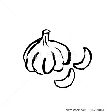 Garlic grunge brush icon. Vector hand drawn illustration. Garlic grunge brush icon. Vector hand drawn illustration. 46799861