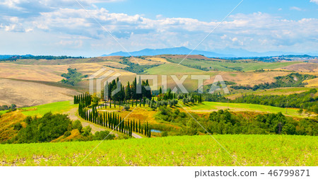 Evening in Tuscany. Hilly Tuscan landscape with cypress trees alley and farm house, Italy Evening in Tuscany. Hilly Tuscan landscape with cypress trees alley and farm house, Italy 46799871