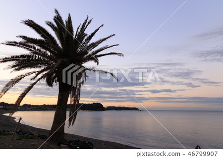 Mito beach 46799907