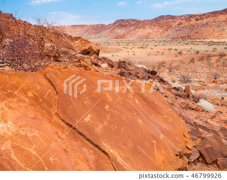 Bushman prehistoric rock engravings in Twyfelfontein, Namibia 46799926